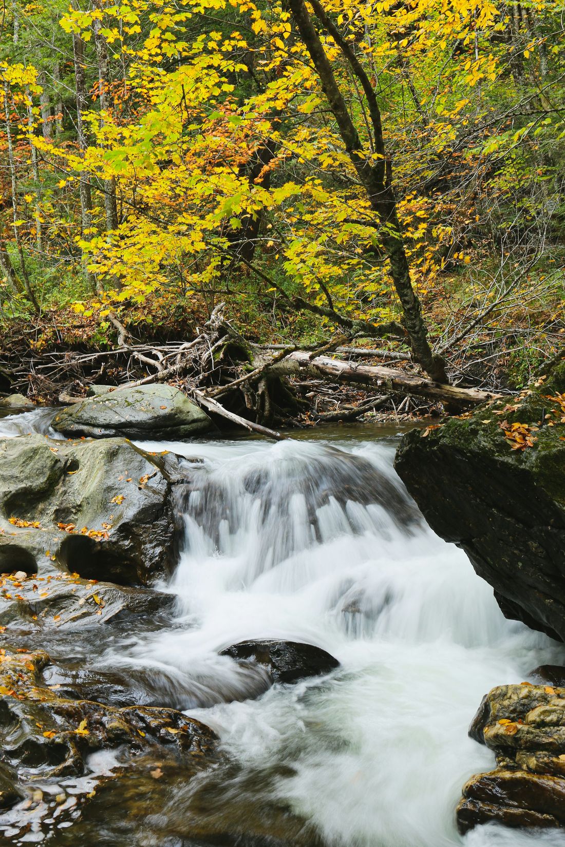 A small Vermont brook pouring over a ledge between mossy boulders under fall hardwoods